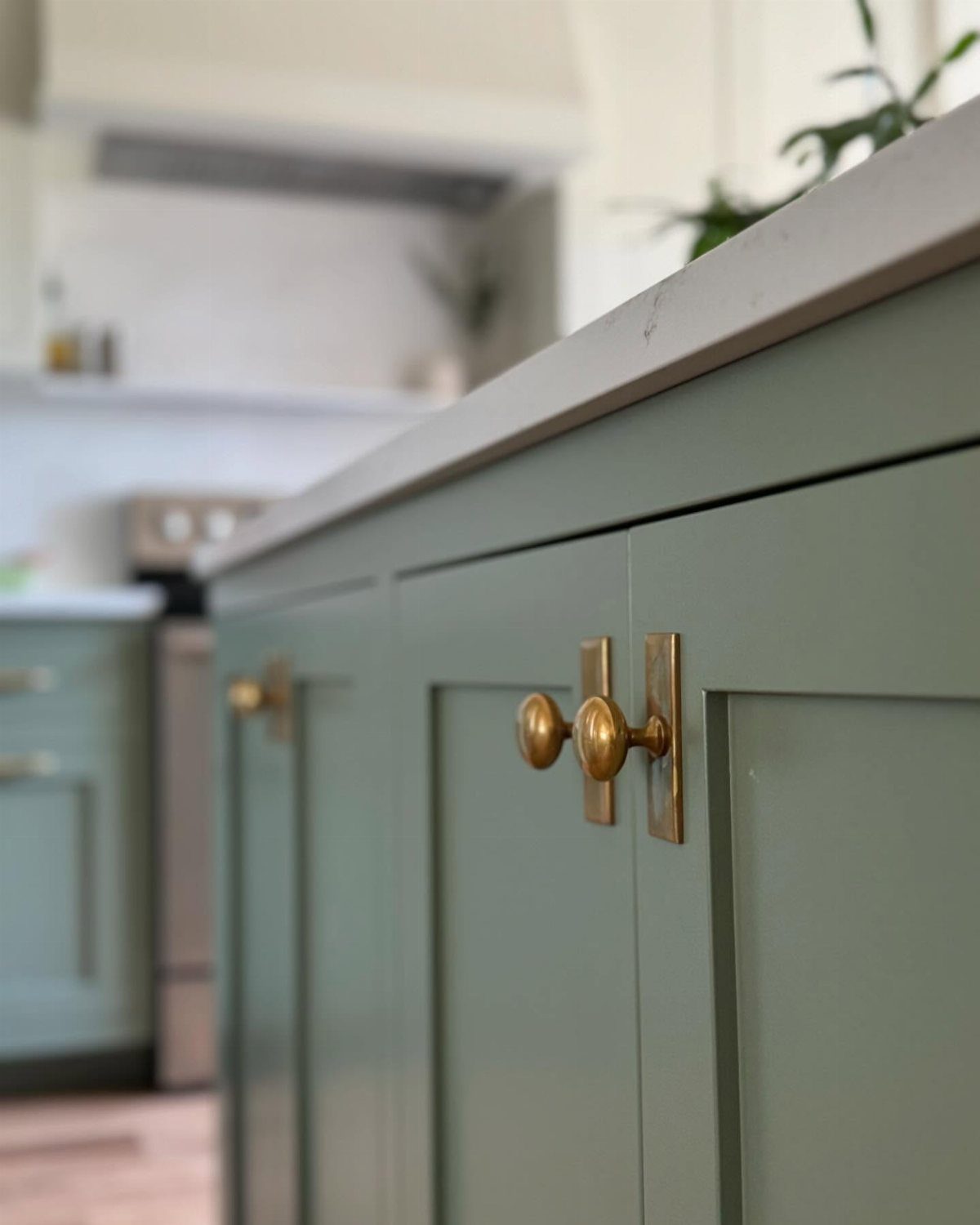 Brass knobs and plates on sage green kitchen cabinets with light countertops