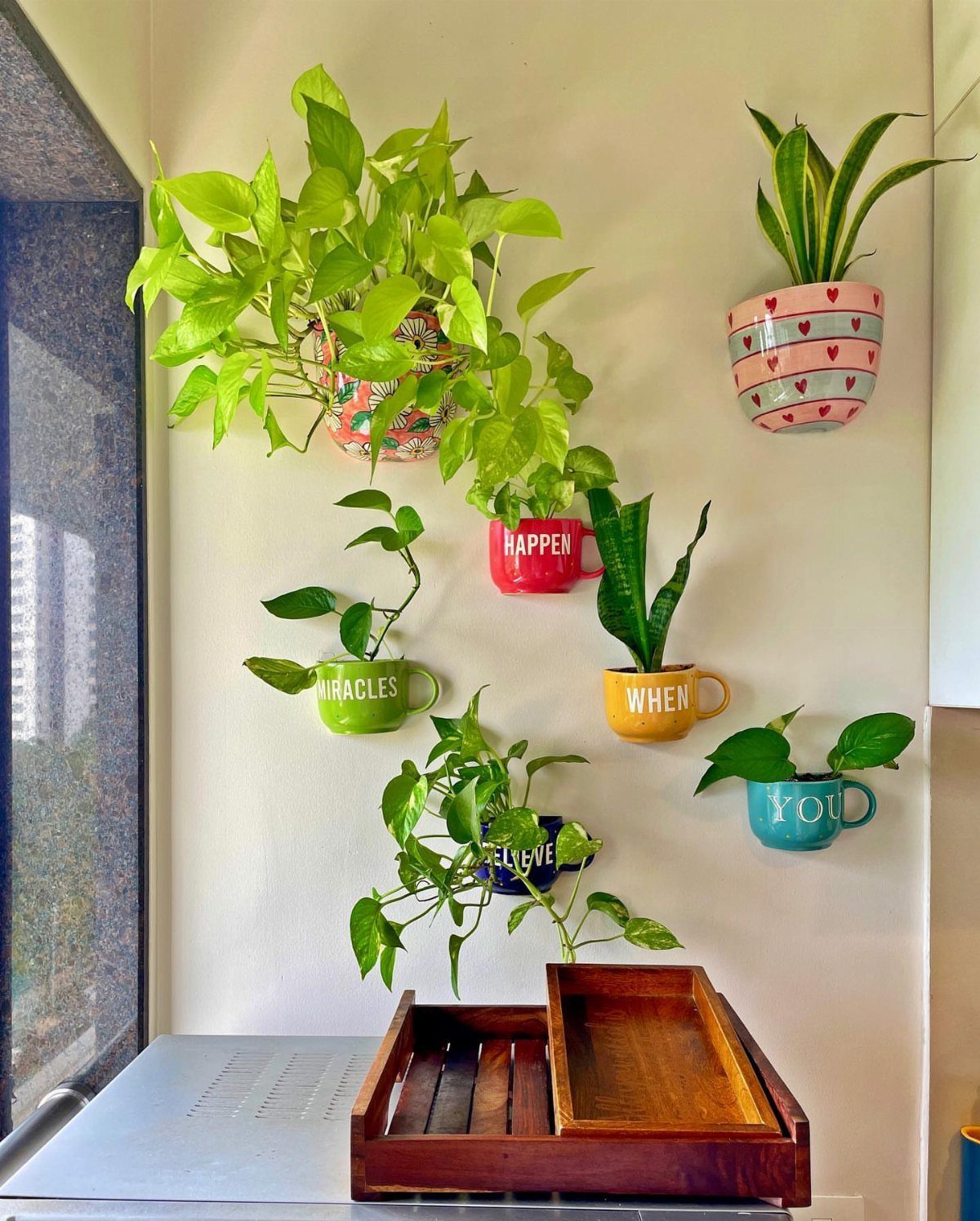 Potted plants in colorful mugs mounted as decorative art on a white wall.