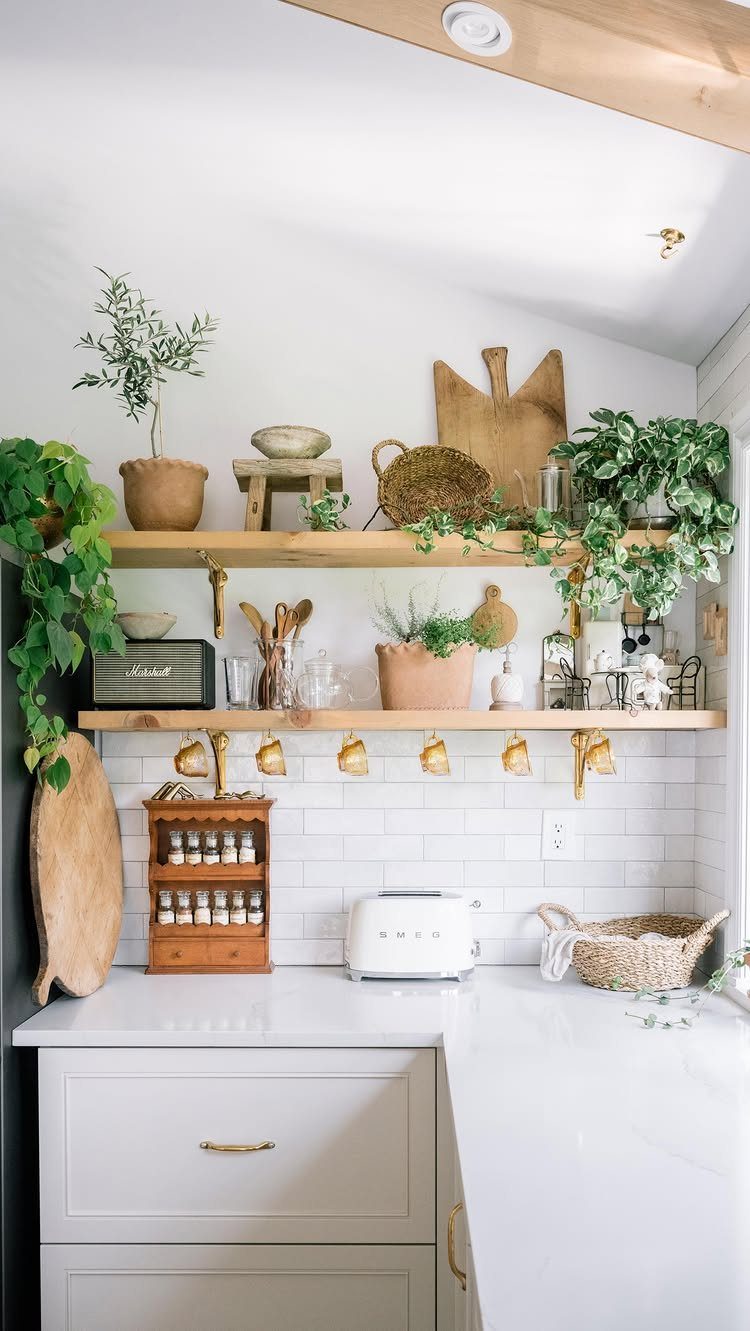 Light wood open shelves with plants and kitchenware above white kitchen cabinets.