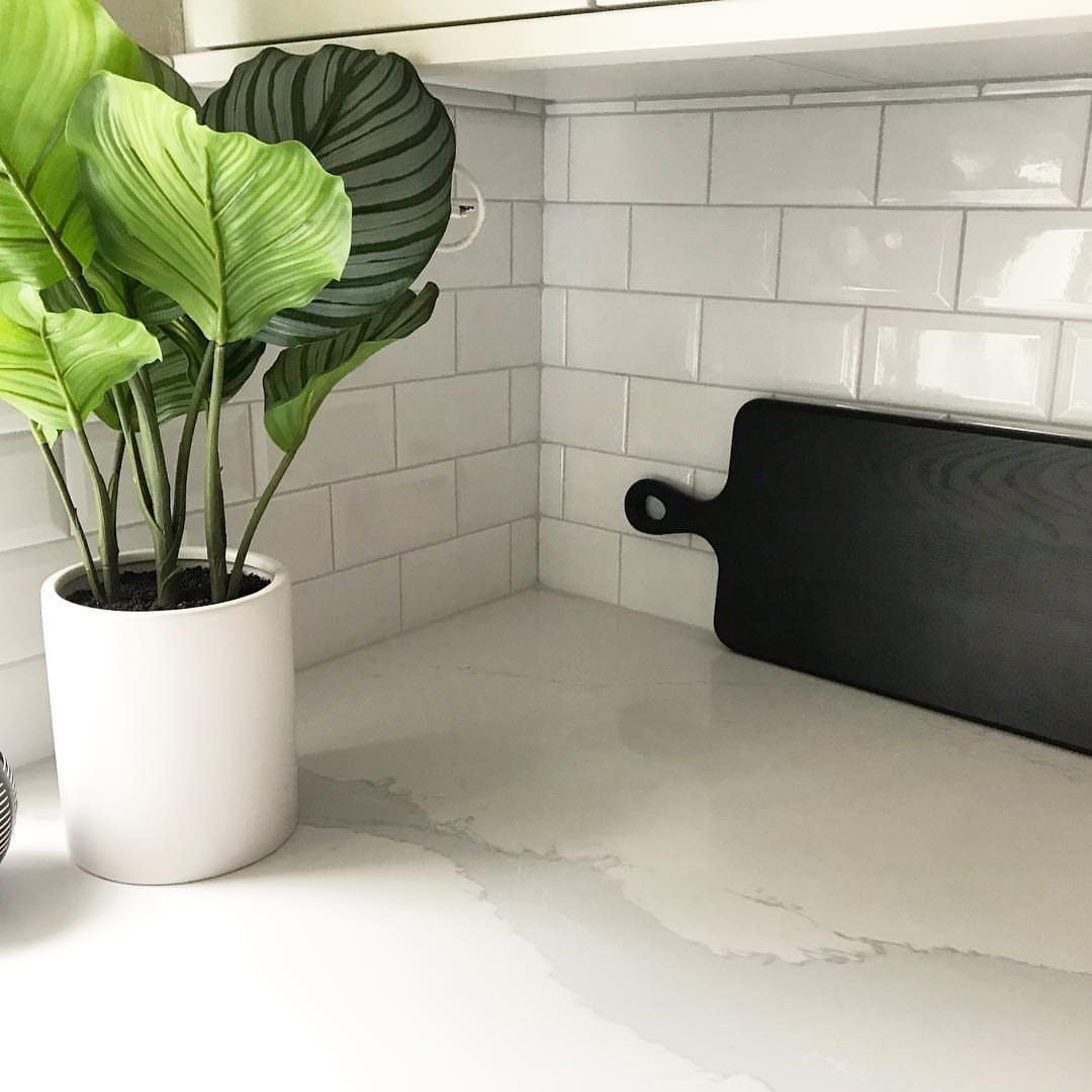 White subway tile backsplash with a green plant and black cutting board.